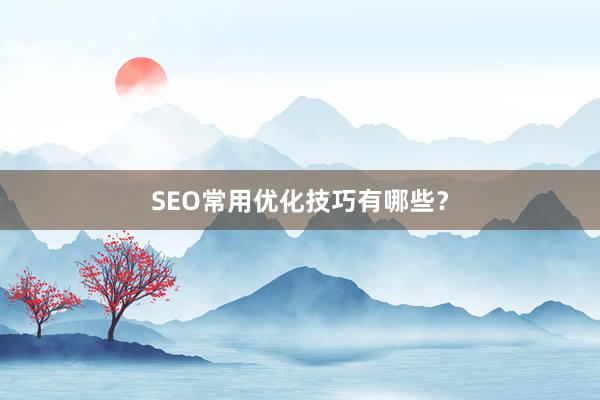 SEO常用优化技巧有哪些？